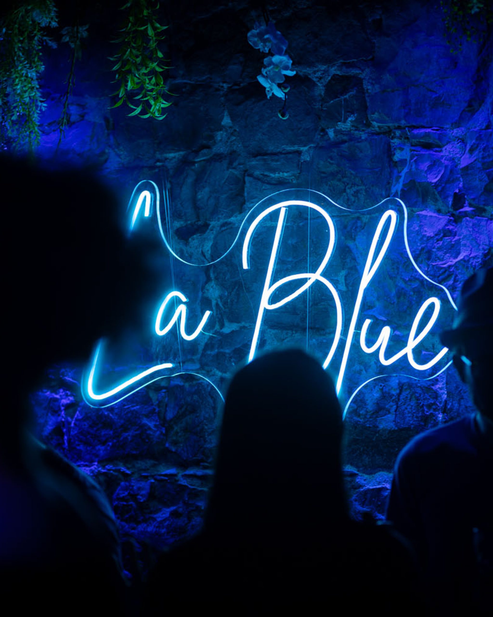 la-cave-du-bleu-la-blue2-2024-02-28_44